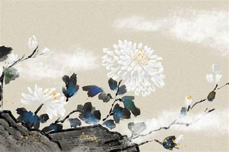 重阳席上赋白菊啥意思