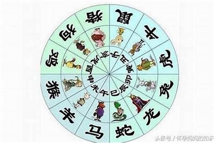 属虎多大年龄2024属虎2024年运势运程