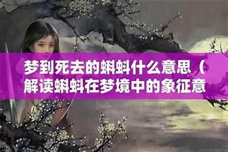 禹城德百春节营业时间