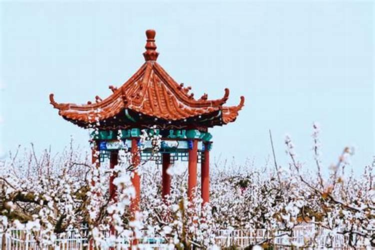 92年猴2025年运势及运程每月运程