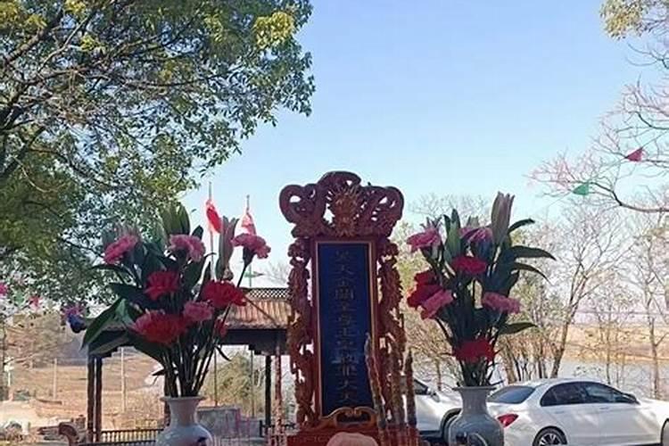 属蛇年犯太岁的四个属相