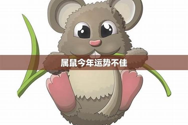 献血穿什么衣服方便