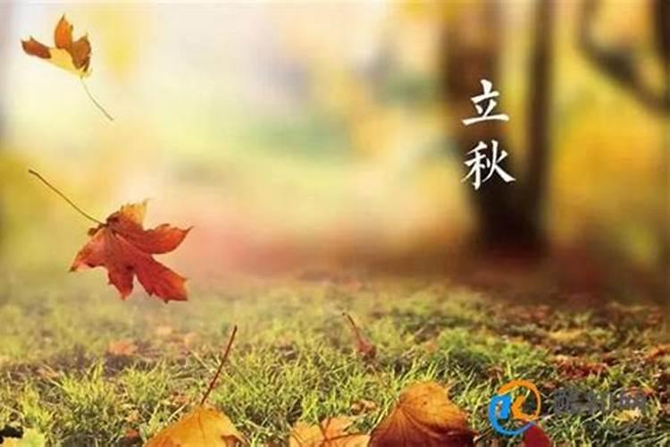 2025年出租车报废新规