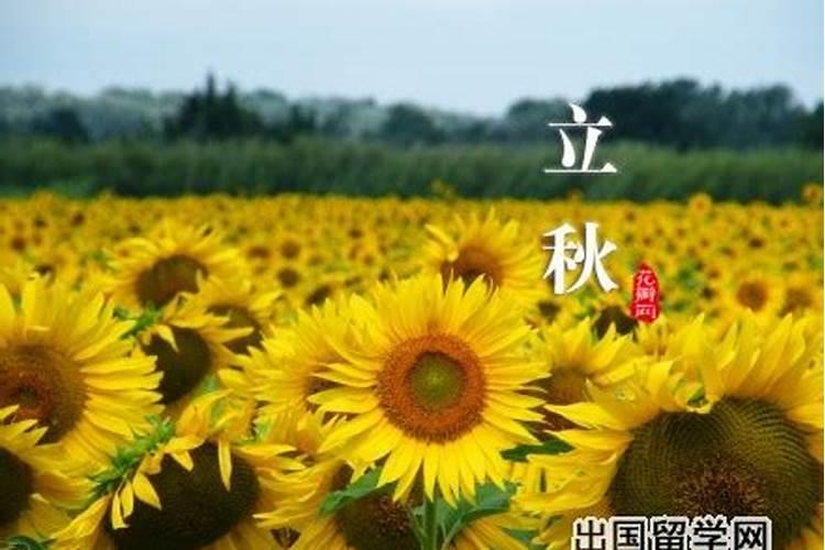 2024属龙本命年事业阻碍财运损失