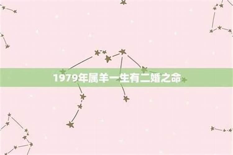 2006年属狗五行属什么