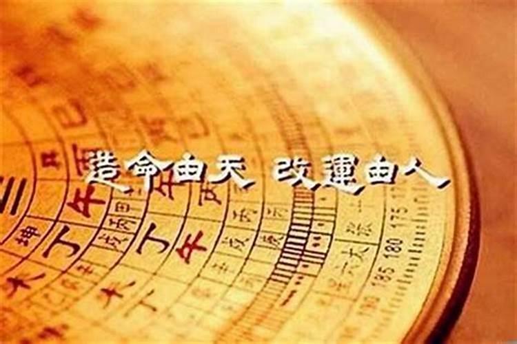 属猪和属蛇的合得来吗