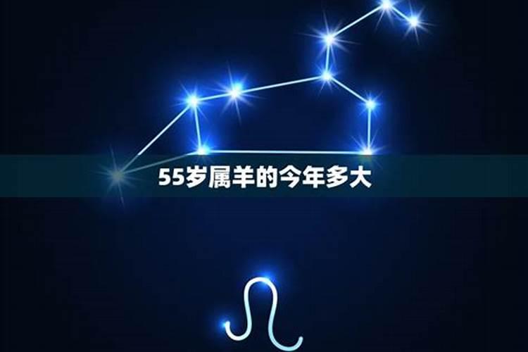 属羊的年龄表