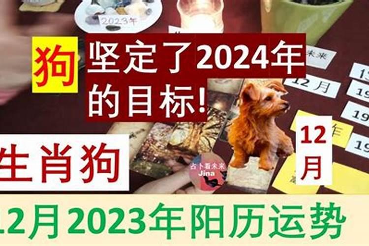 属狗人2025年每月运势及运程详解