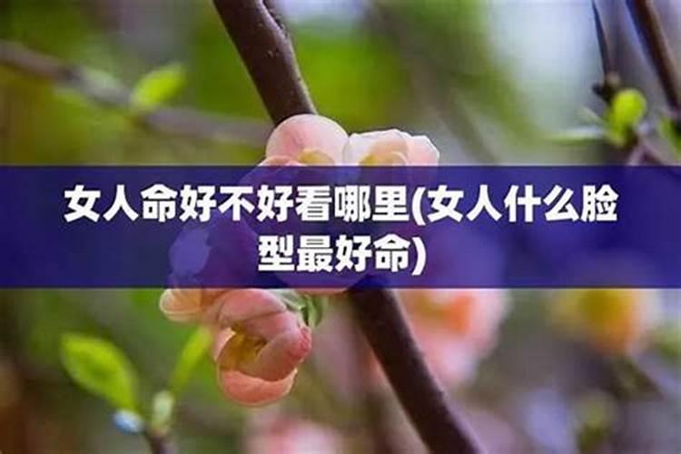 中秋节几号回娘家走亲戚好中秋节哪天去娘家走亲戚
