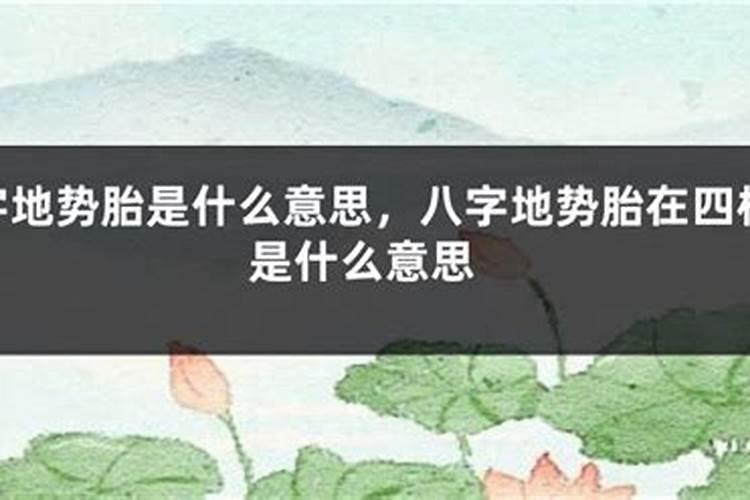 八字胎是什么意思