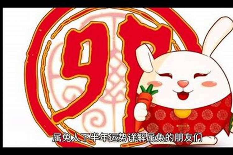 1987年属兔2025年的运势及运程如何