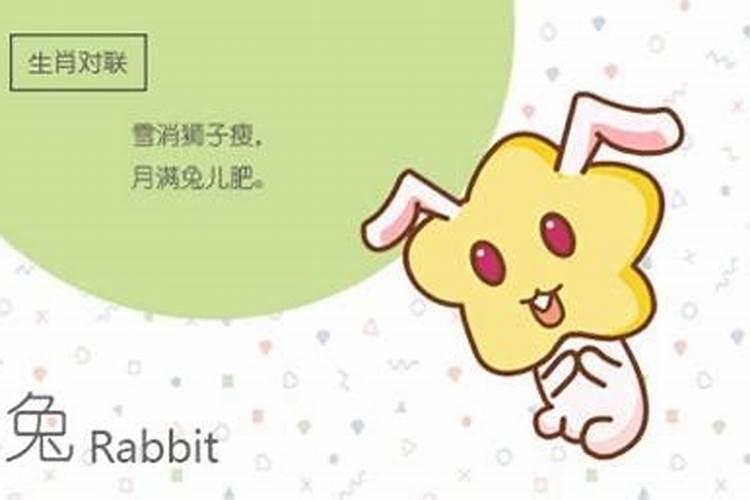 卯时是几点到几点钟辰时？