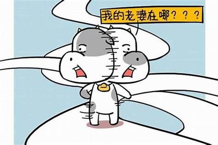 男兔女马能白头到老吗 默契度较低
