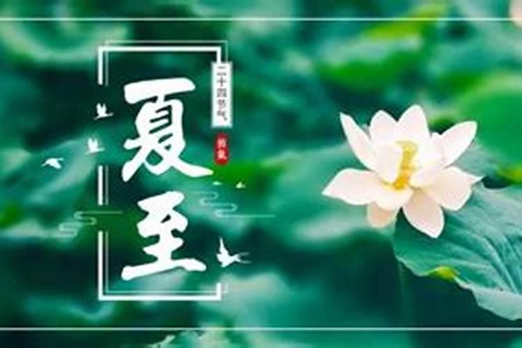 夏至节气艾灸养生保健,“节气灸”事半功倍