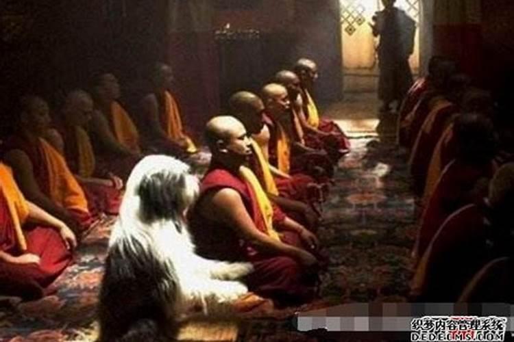 横死的人死后会经历什么