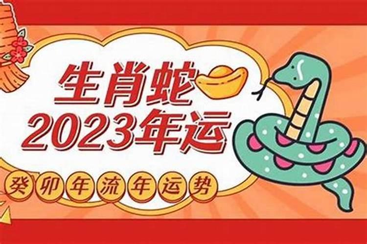 属猪的今年运势如何
