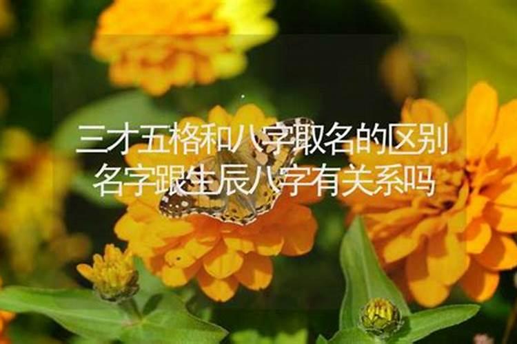 周易五格取名吉数大全,最好周易起名,取名要求五格,起名请配合八字