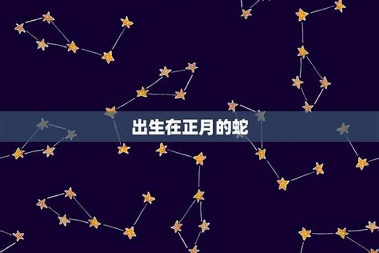 属鸡出生在辰月命好吗 有文才能随机应变？