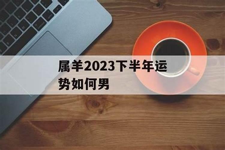 2024属羊运势下半年怎么样 属羊2024年下半年运势及运程
