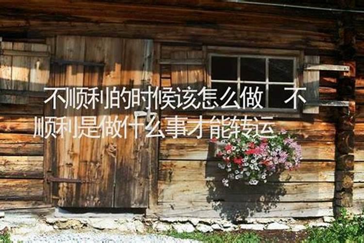 八月十五吃什么水果最好