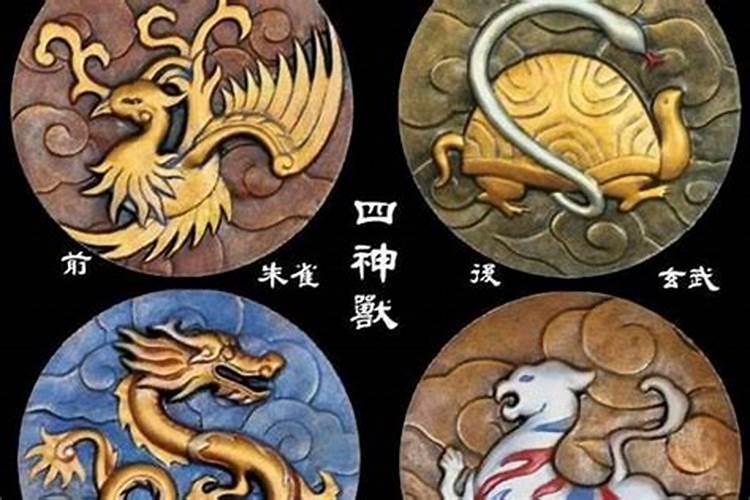 72年属鼠女2025年的运程和每月运势