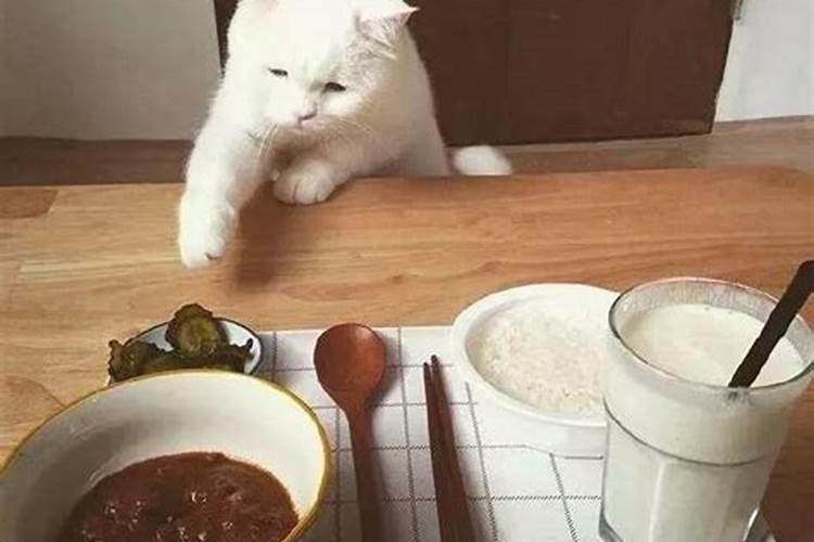 八字算命:十神中食神是什么意思