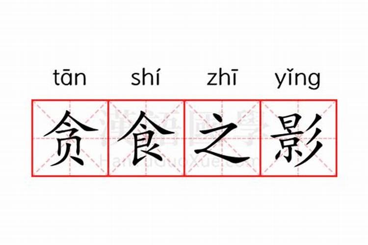 95属猪女人婚姻命运,属猪的女人姻缘命运如何？