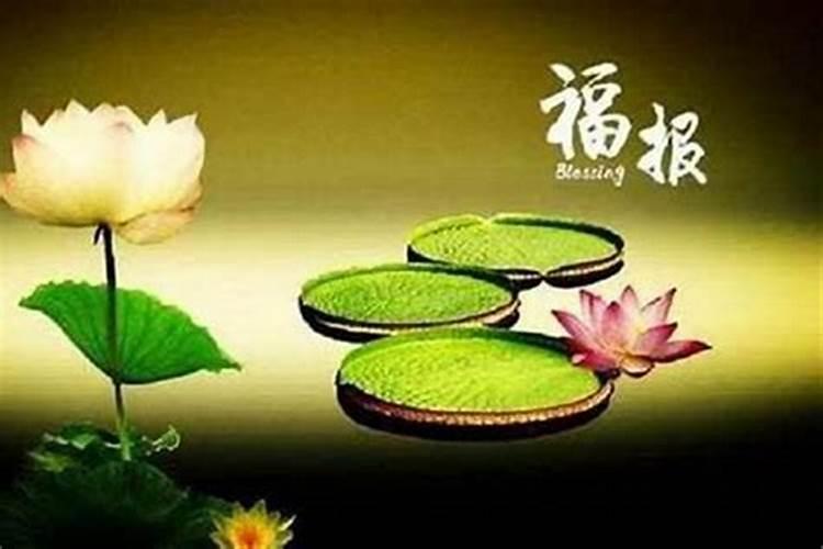 立冬节气的特点和风俗
