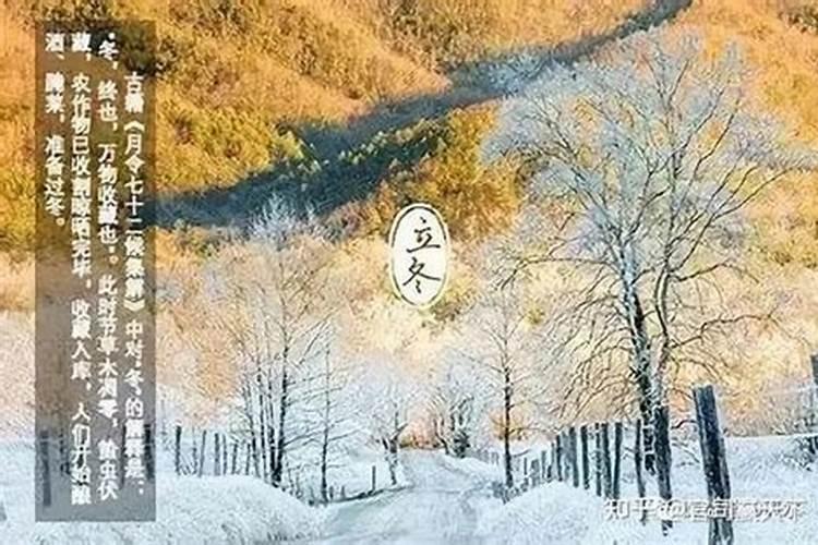 属牛的和什么属相最配