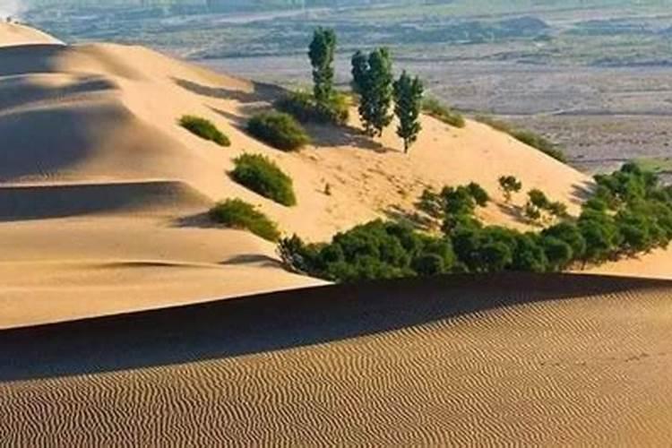老公属蛇是77年9月的沙中土命,我属羊是79年3月太阳火命,儿子属狗是2006...