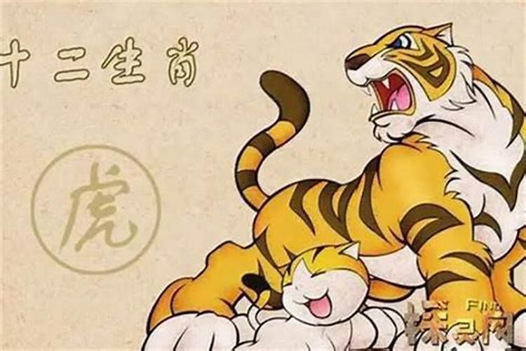 梦见自己被抢劫受伤的预兆