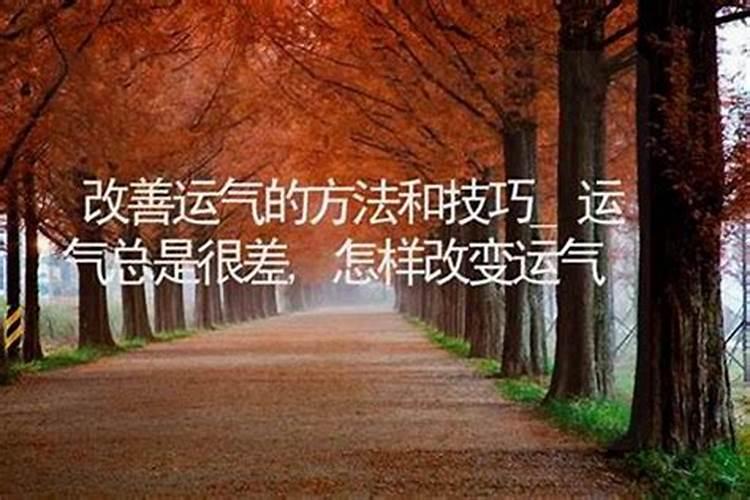 梦见已故表哥