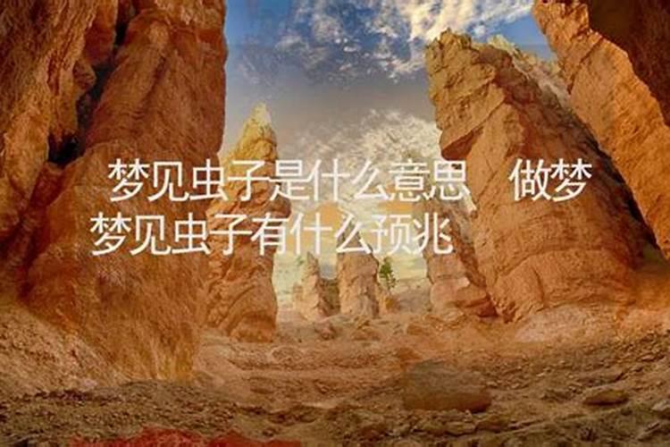 梦见虫子预示着什么 是不是有不好的事情发生