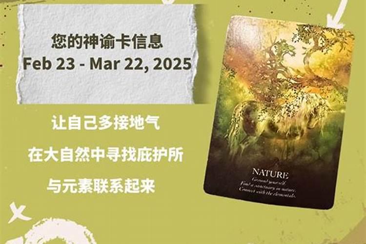 2024年狮子座10月运势塔罗牌