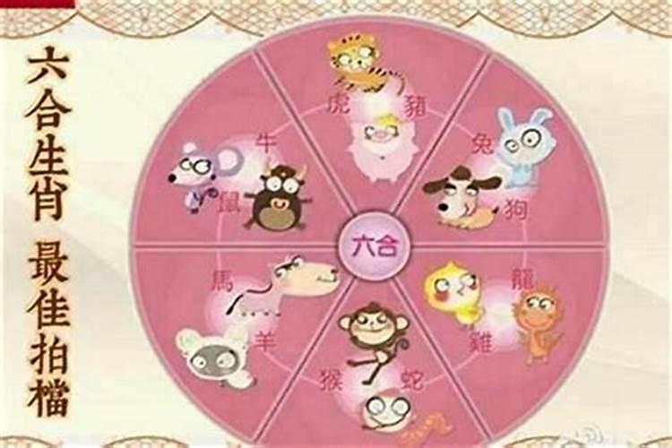 合婚算命:属兔男与属羊女的婚姻怎么样 两人相配吗