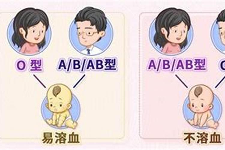 生肖鼠2008年2025年运势如何 生肖鼠2008年2025年全年运势