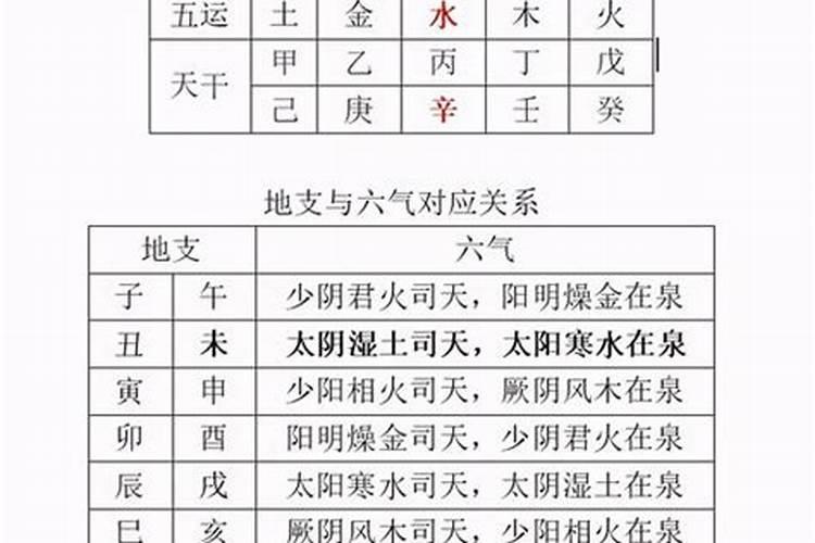 女人梦见老鼠跑来跑去