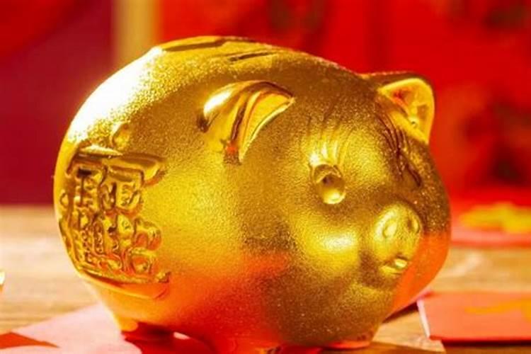 生肖猪2025年运势 属猪2025年运势及运程