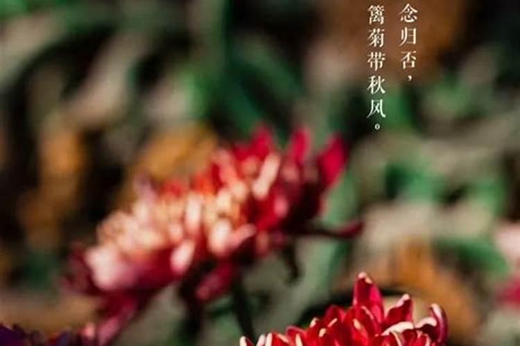 端午到重阳多少天
