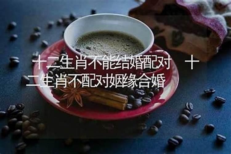 1994年几月狗命苦,1994年属狗的贵人