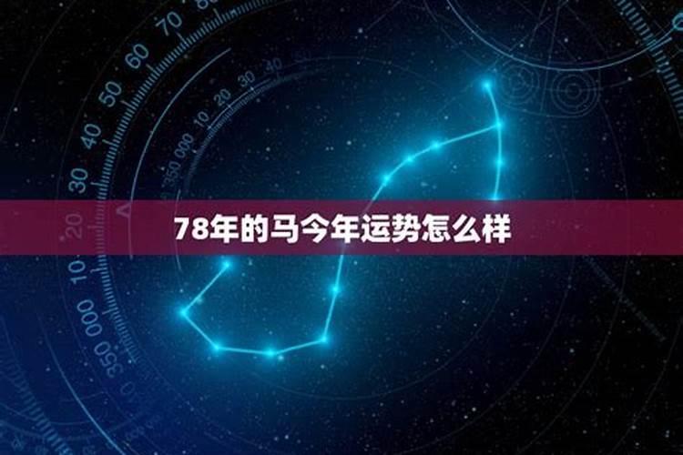 属狗的终身吉祥物属狗佩戴什么生肖能旺自己