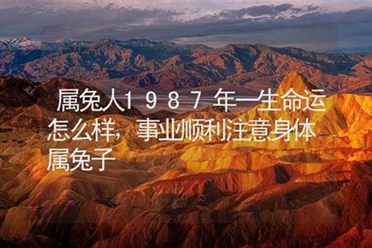 公元一九七八年十二月初一生的女人命运如何