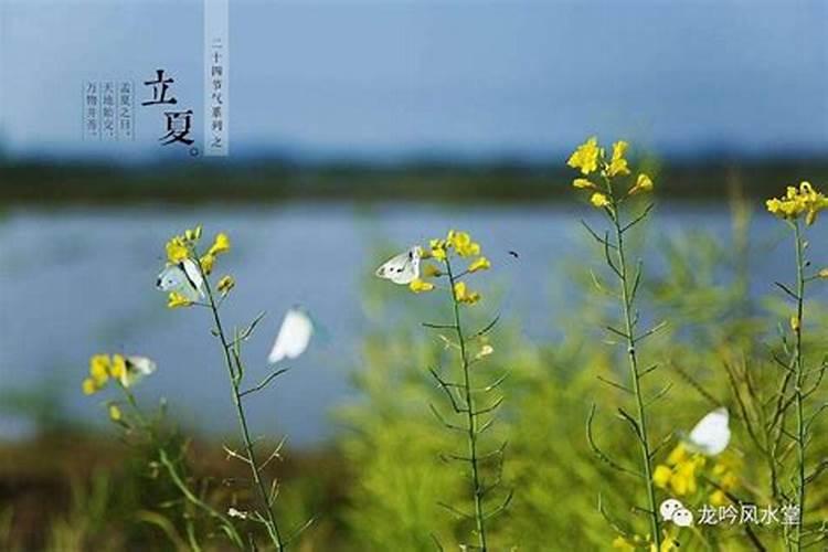 八字不合可以化解吗？