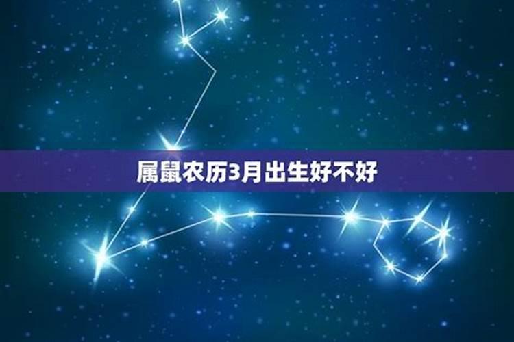 1996年阴历三月十五日属鼠的,是什么命