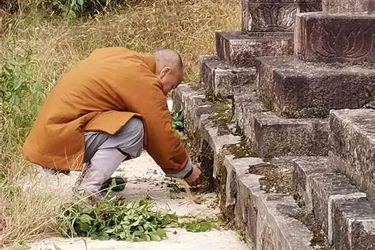 中元节墓地不让烧纸回来还能烧纸吗
