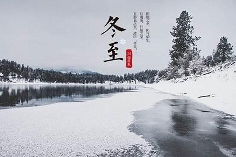 蛇和猪相配婚姻如何 属蛇和属猪的婚姻相配吗
