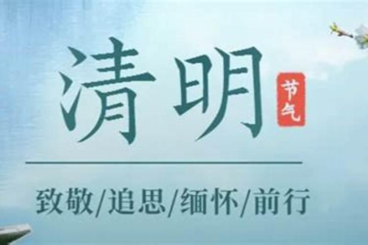属猪人2025年感情运势及运程