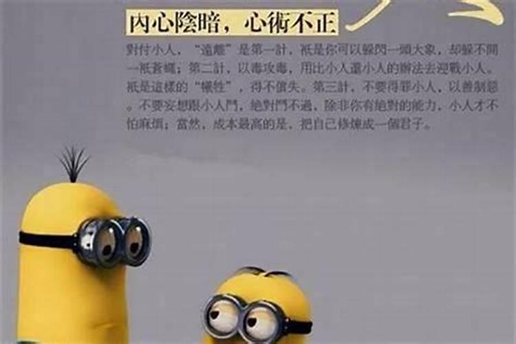为什么我经常被小人算计？