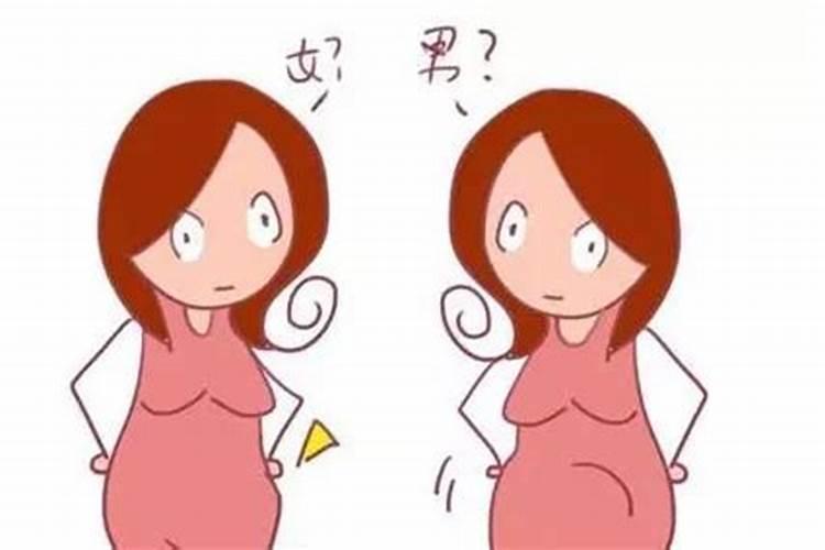 农历3月份之内怀孕的是年前生还是年后