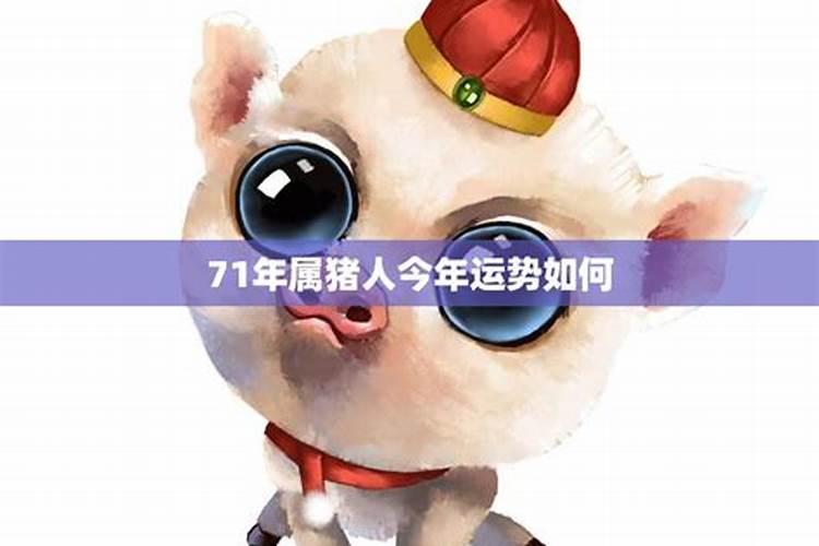 属猪2025年感情运势